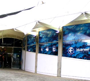 Underwater tunnel and tropical fish at Blue Reef Aquarium, Southsea, Portsmouth